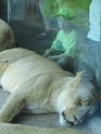RTvisit_DZoo (7)